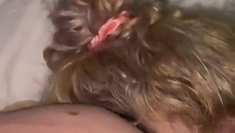 Xin Lỗi Em Yêu. Cho Phép Anh Thực Hiện Niềm Vui Miệng Trên Dương Vật Của Em